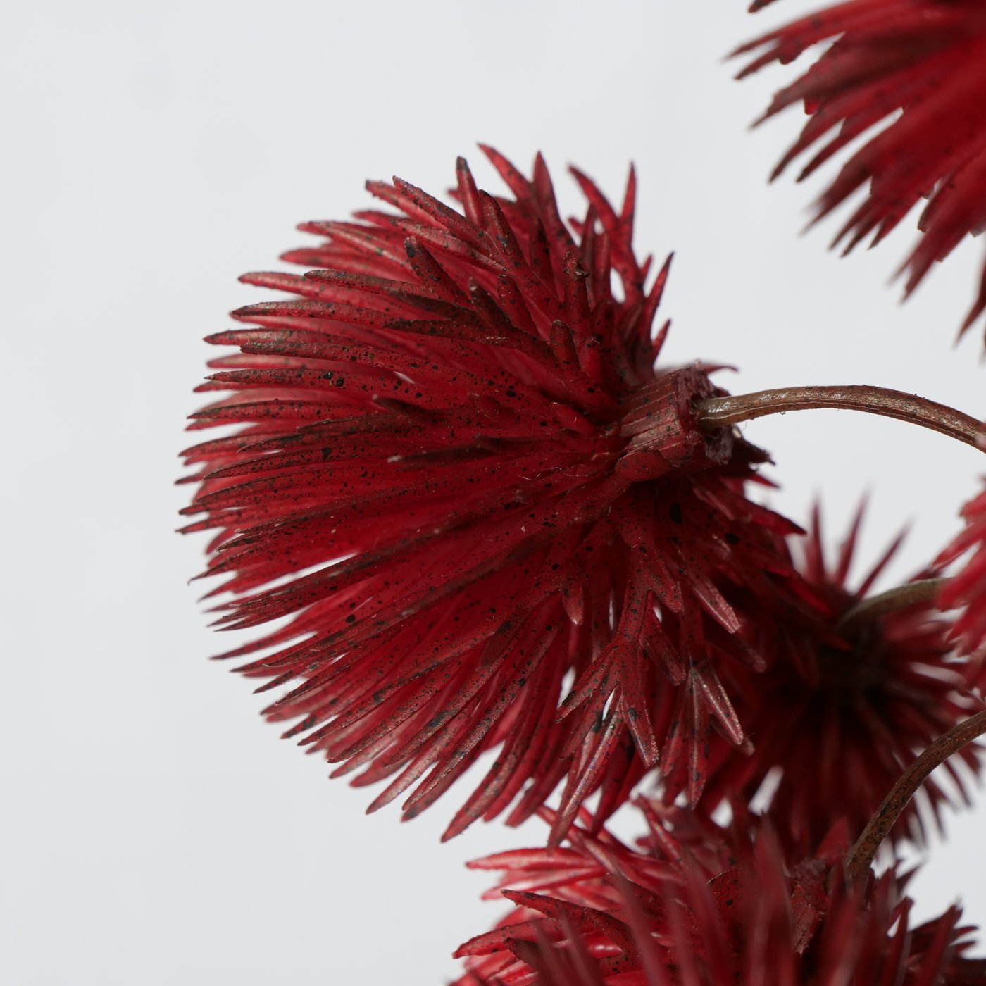 2012223-detailbild