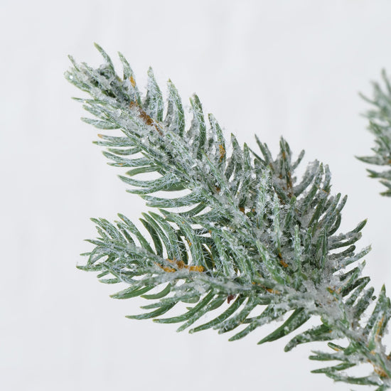 2006373-detailbild