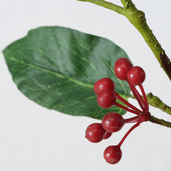 2011483-detailbild