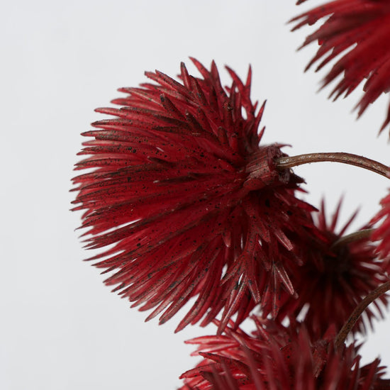2012223-detailbild