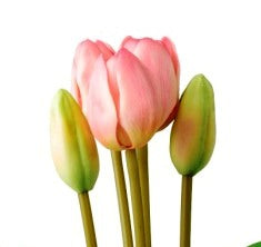 671110-rosa