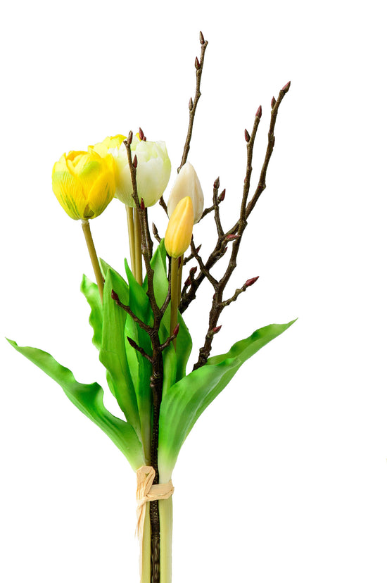 671127_2-tulpe-gelb