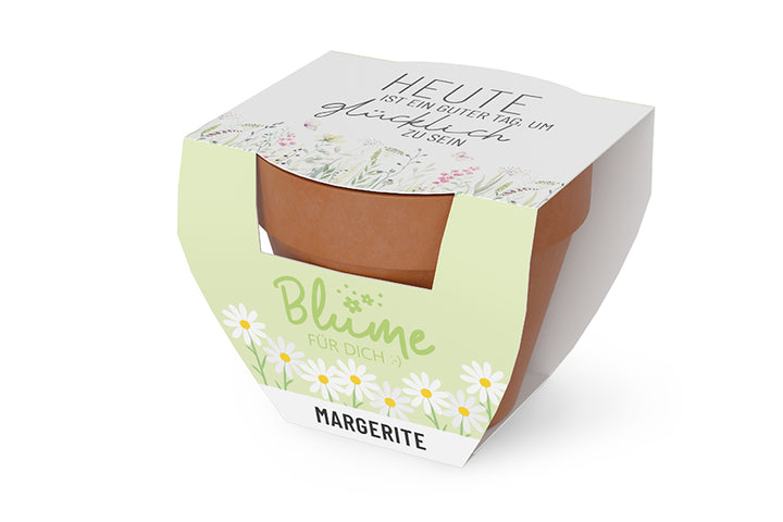 980592 Geschnek für Dich Blume Margeritte im Topf, mit Aufschrift Heute ist ein guter Tag, um glücklich zu sein, Geschenkidee