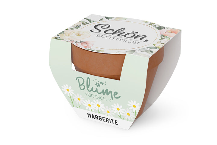 980661Geschnek für Dich Margerite im Topf, mit Aufschrift Schön, dass es Dich gibt, Geschenkidee