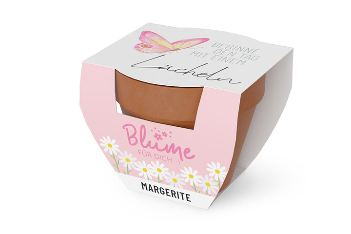 980664980589 Geschnek für Dich Margerite im Topf, mit Aufschrift Beginne den Tag mit einem Lächeln, Geschenkidee