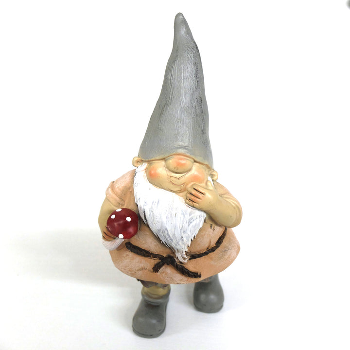 zwerg-pilz-1